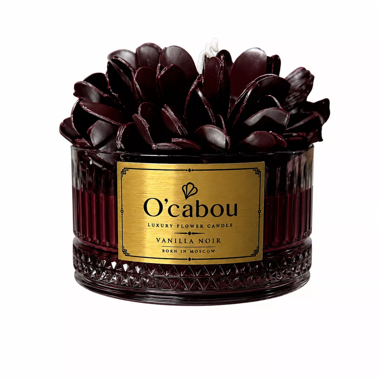 Elegant Burgundy Peony