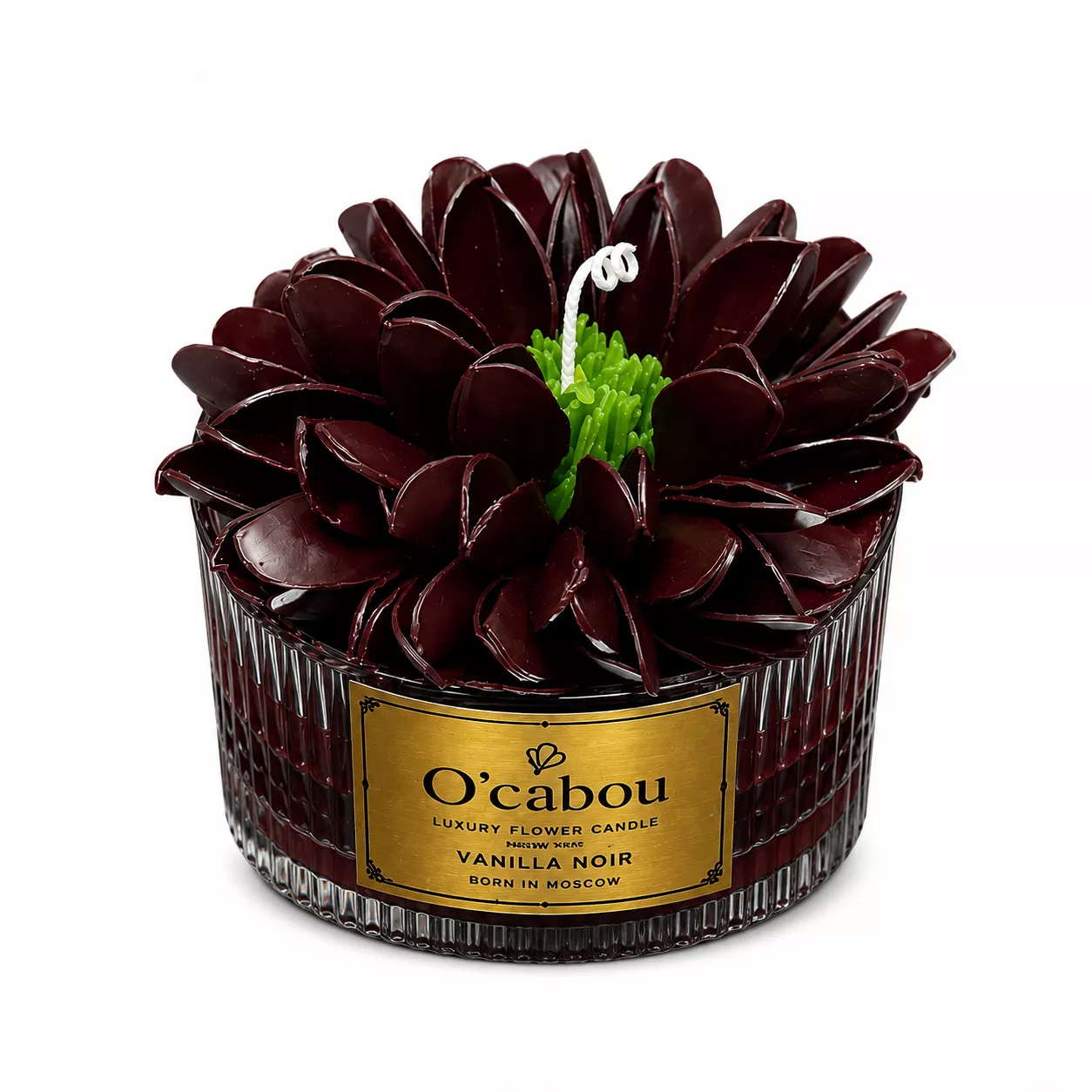 Elegant Burgundy Peony