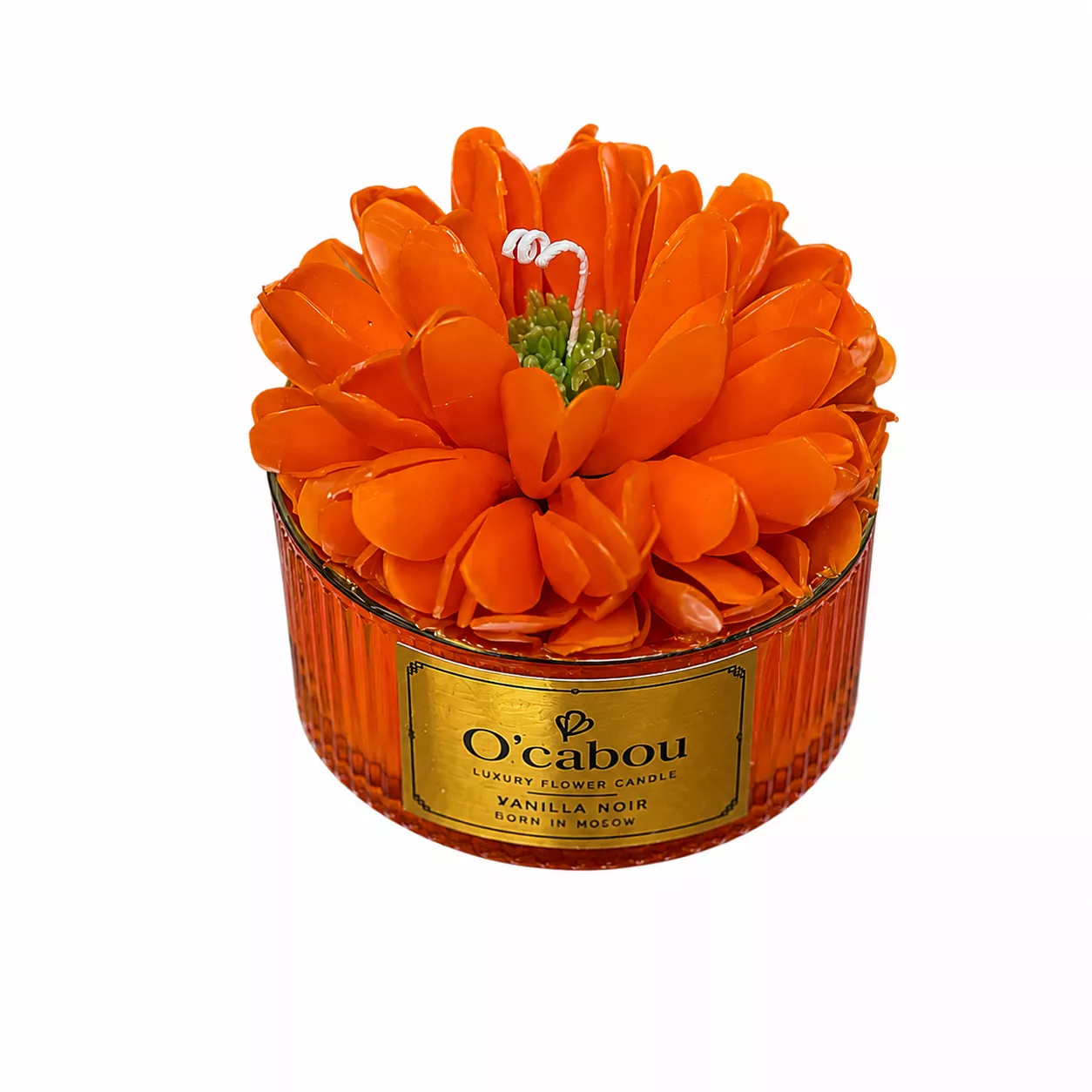 Elegant Orange Peony