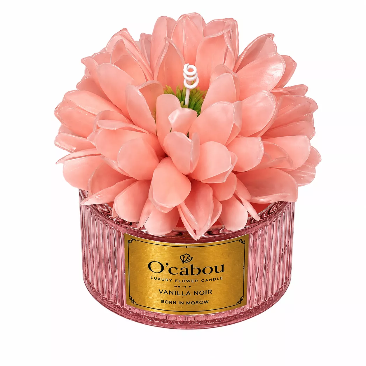 Elegant Pink Peony