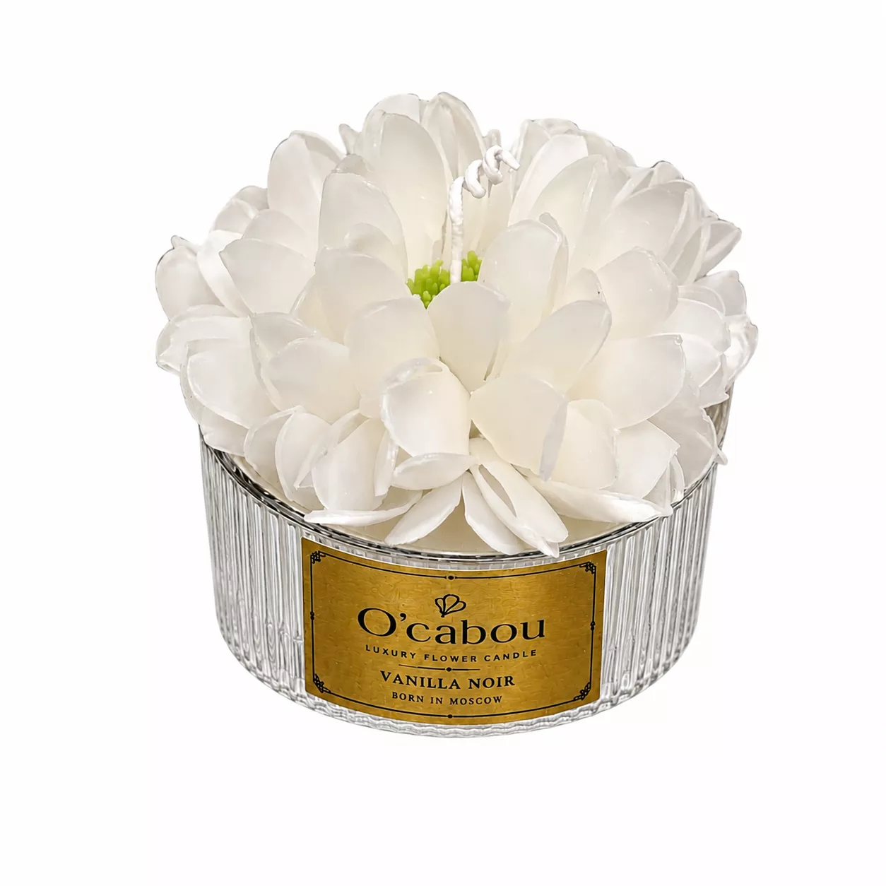 Elegant White Peony